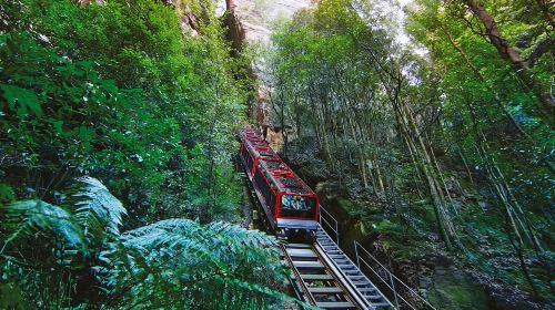 Blue Mountain Small Group Scenic World, Wildlife, Waterfall Day Tours