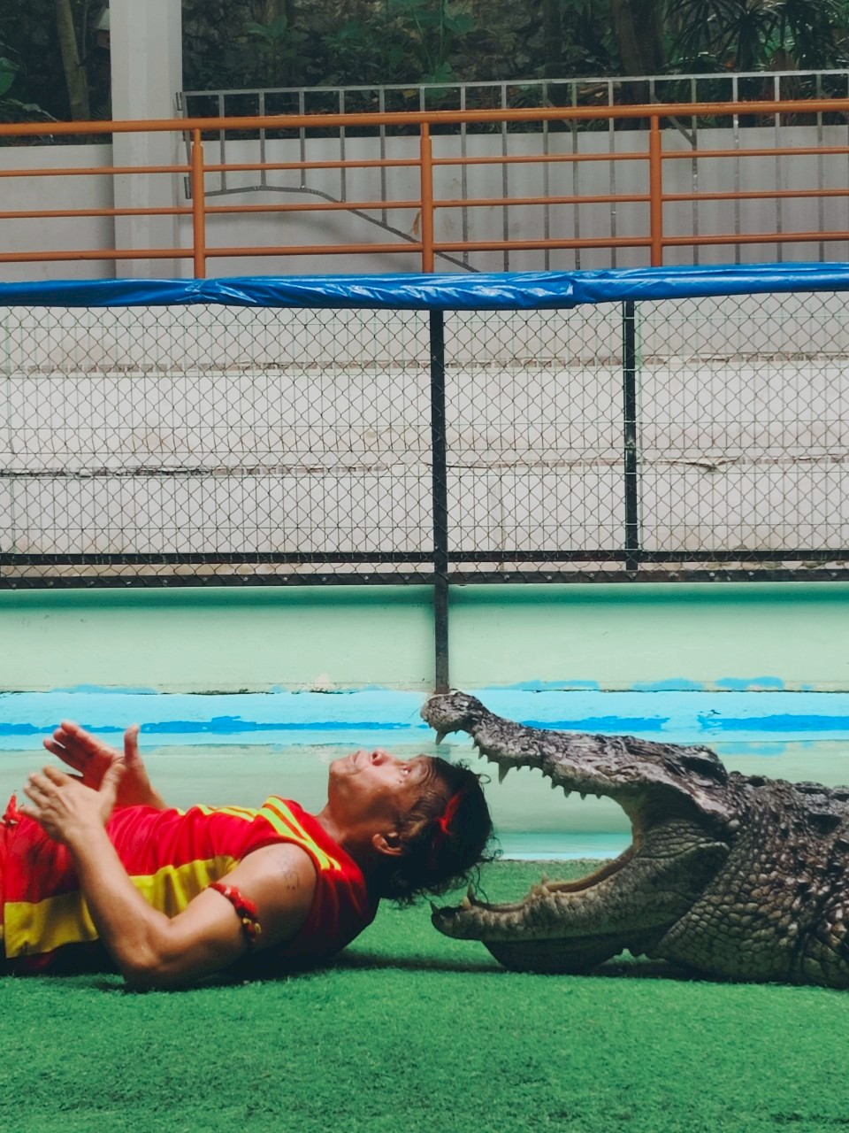Phuket Crocodile Farm and Crocodile Show