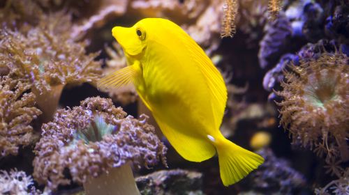 SEA LIFE Timmendorfer beach