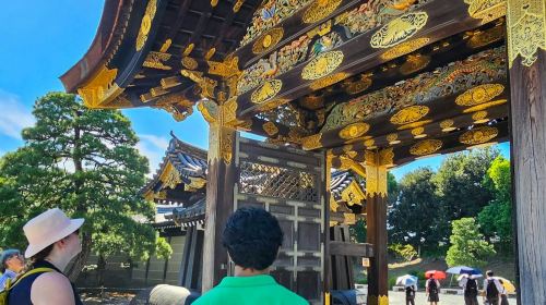 Kyoto Imperial Palace & Nijo Castle: Guided Walking Tour Day Tours