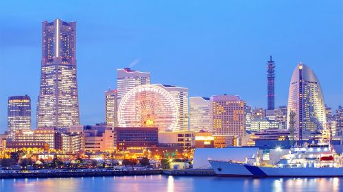 Tokyo Yokohama Night View Tour With Kamakura And Enoshima Day Tours