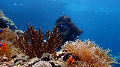 2-hour diving and snorkeling experience in Green Island, Taitung [Green Island Blue Cave Secret Spot / Sleeping Beauty Ancient Trail + Immortal Stacked Rocks Snorkeling]