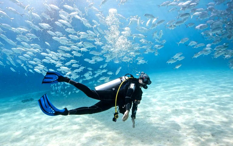PADI Scuba Diving Course