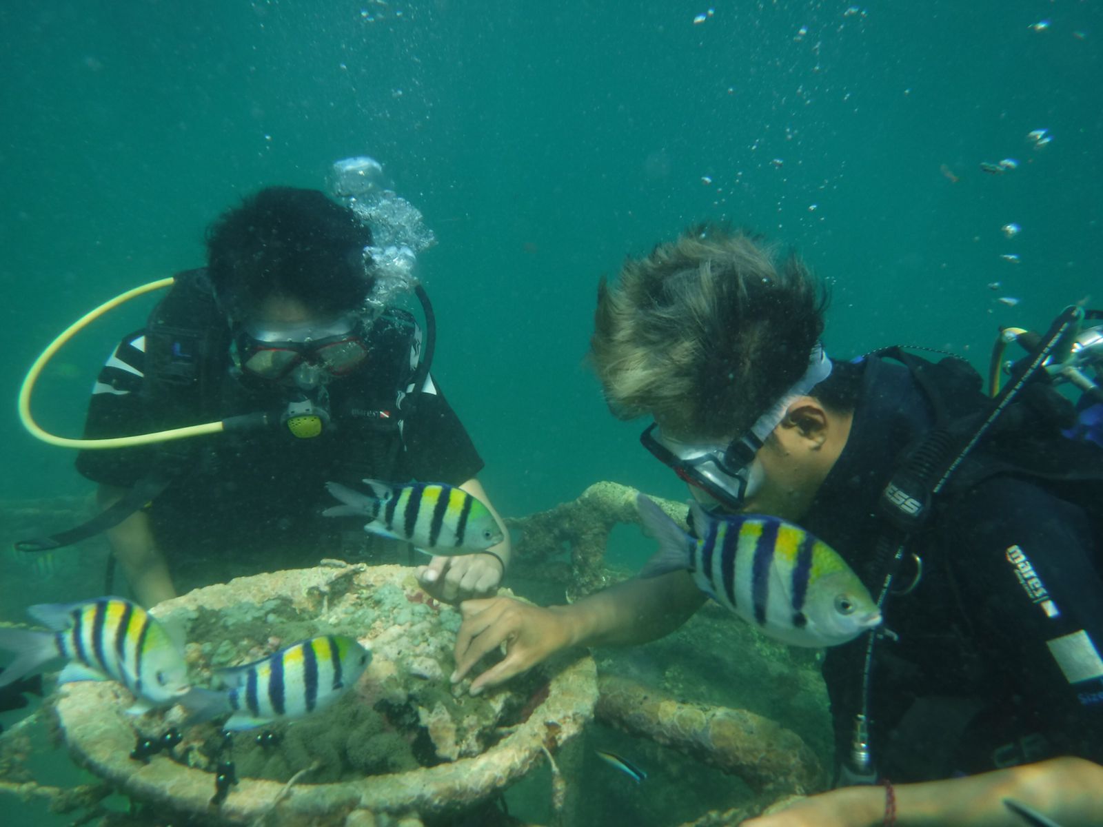 Diving & Snorkeling Tanjung Benoa by Pandan Sari