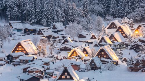 [Pure Fun] Takayama City + Miyagawa Morning Market + Shirakawa-go Gassho Village Observatory one-day tour in Nagoya, Japan Day Tours