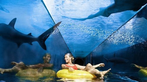 Dubai Atlantis Aquaventure Water Park tour with Transfers Day Tours