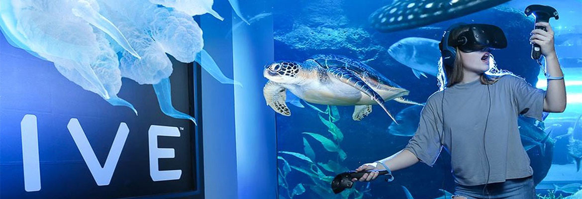 Dubai Aquarium And Underwater Zoo