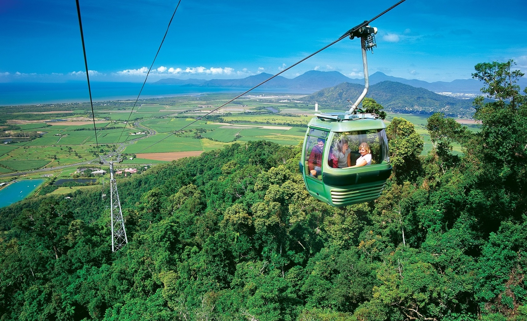Return Skyrail Rainforest Cableway Experience