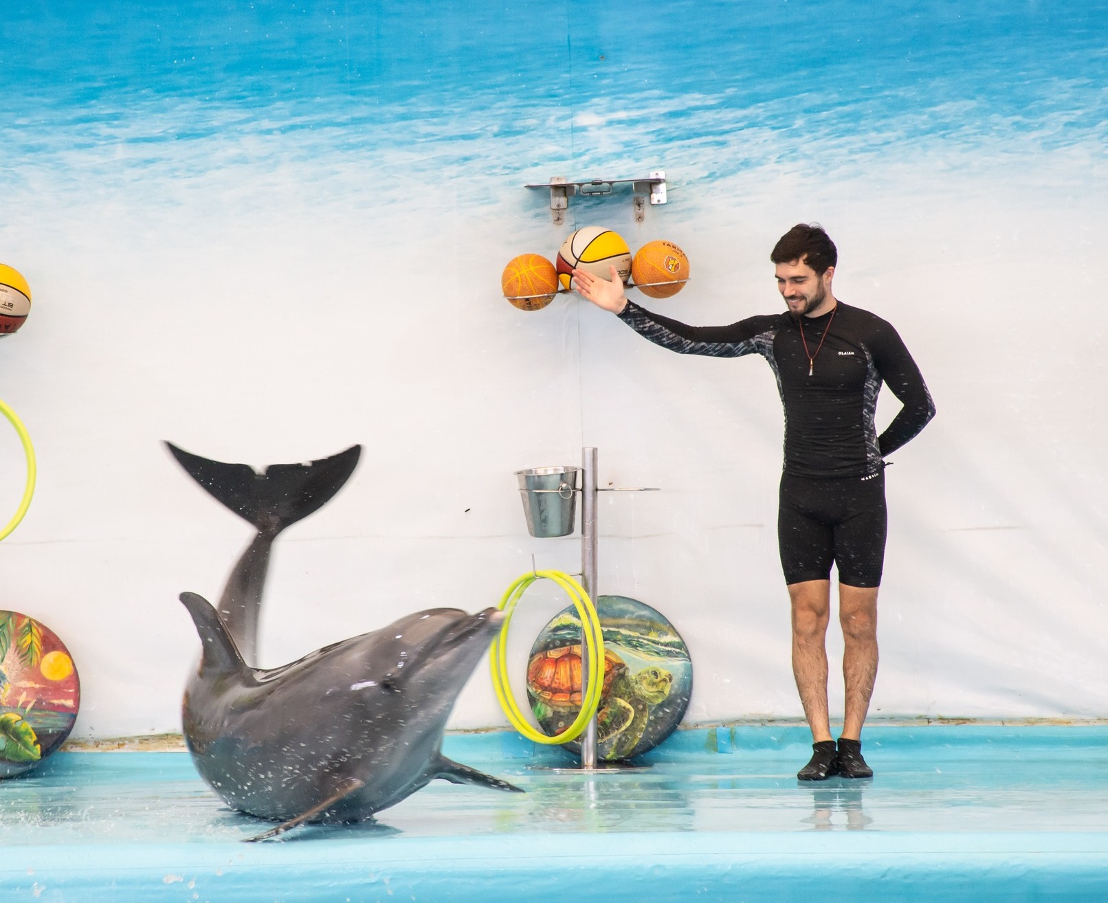 Pattaya Dolphinarium