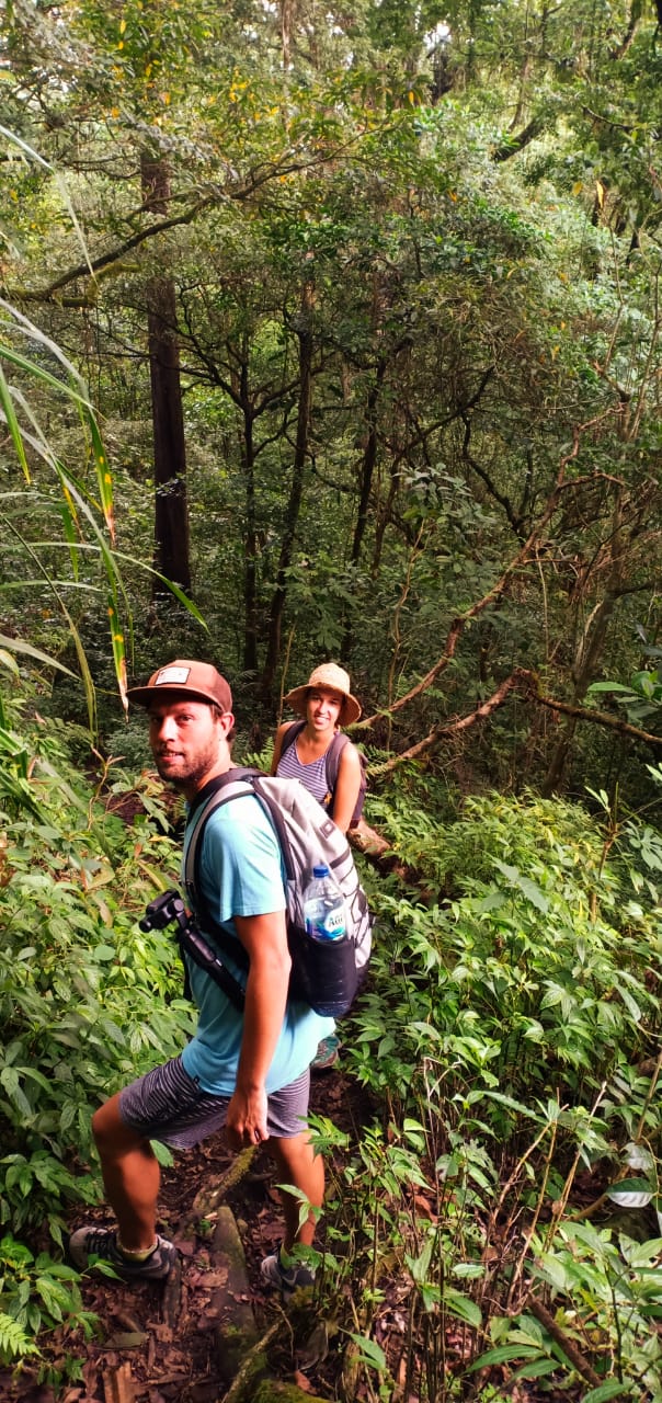 Explore The Real Jungle