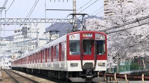 [Official ticket] Kansai railway pass lite (2026 new version) 2-day/3-day pass Transport Passes