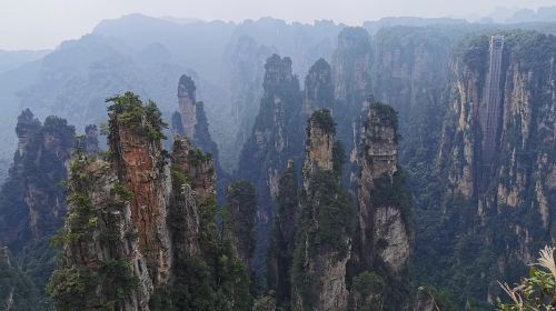 Private Day Tour: Discover Zhangjiajie National Forest Park-Avatar Mountain
