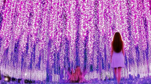 Ashikaga Flower Park Light Show