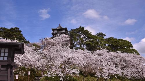Fukui: Maruoka Castle Admission Ticket Day Tours
