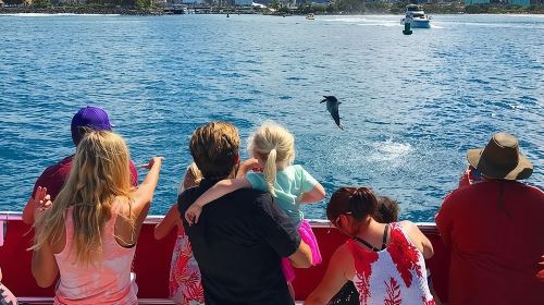 Waikiki Beach Glass Bottom Boat Cruise Day Tours