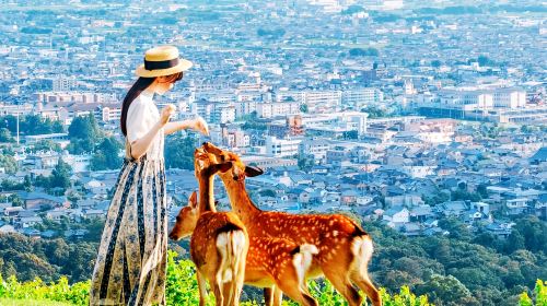 [Limited Time Offer] Osaka, Kyoto + Nara Park + Fushimi Inari Taisha + Arashiyama Day Tour Day Tours