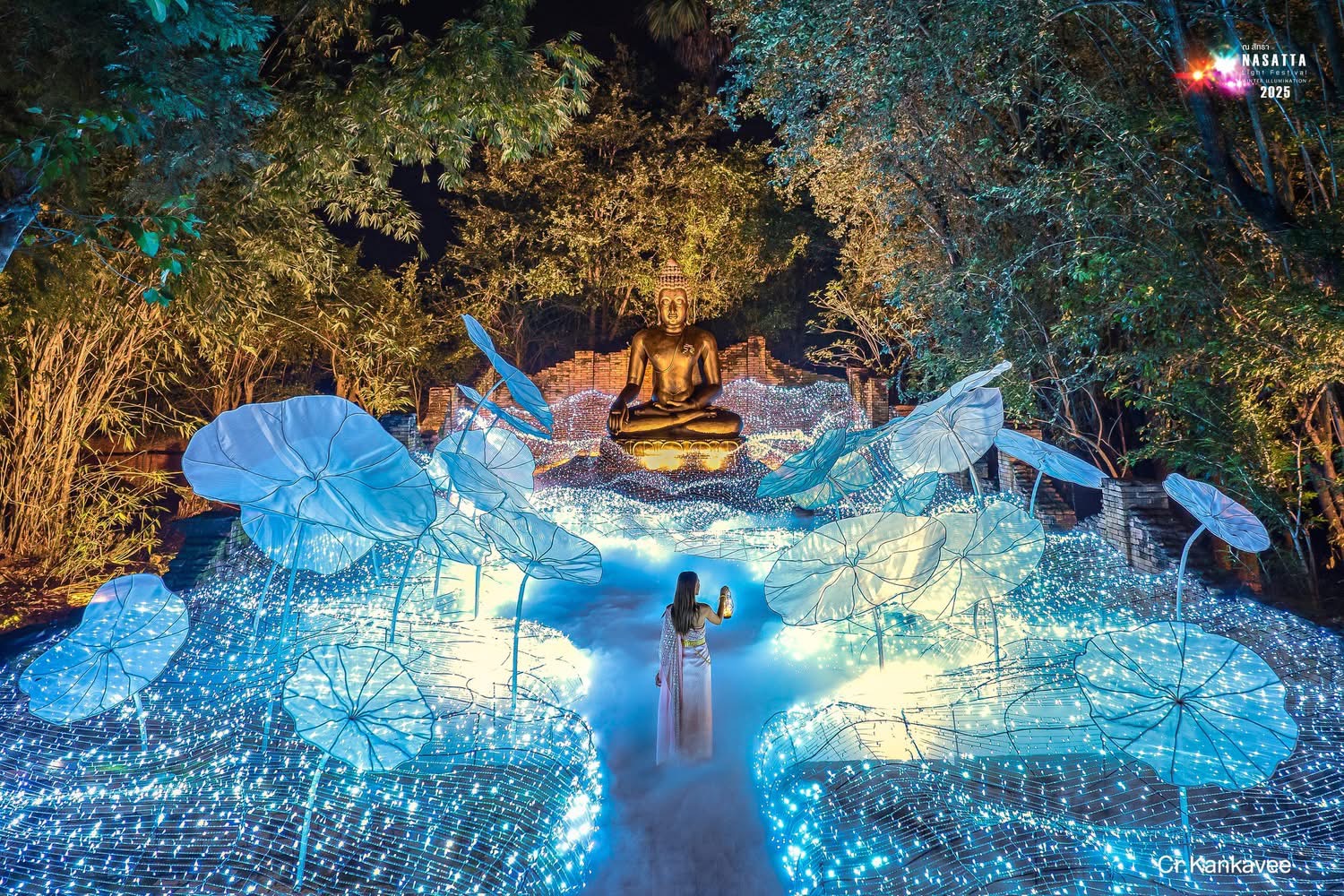 Nasatta Light Festival