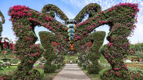 Dubai Butterfly Garden Tour with Private Transfers Day Tours