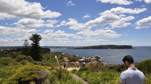 Sydney: City Highlights Guided Bus Tour Day Tours
