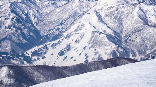 Adult ski lessons (Chinese-taught) at Naeba Ski Resort in Niigata are available with a ski pass.