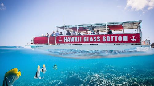Waikiki Glass Bottom Boat Cruise Day Tours