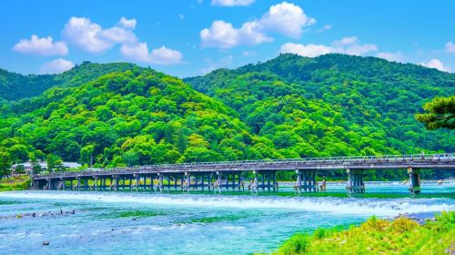 Arashiyama Kyoto, Sagano Scenic Railway + Nara Park + Fushimi Inari Taisha 1-day tour Day Tours