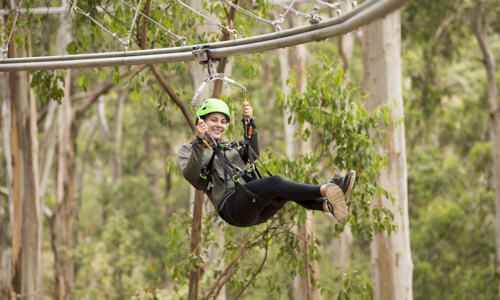 Super Circuit High Ropes Course