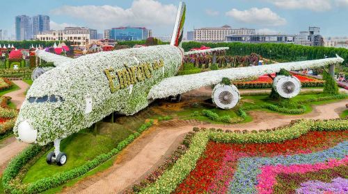 Dubai city tour, Miracle Garden & Global Village tour with Transfers Day Tours