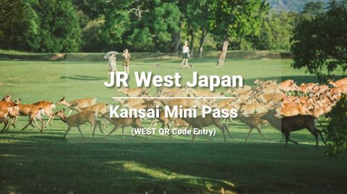 [Official Ticket] JR Kansai Mini Rail Pass 3-Day Pass (WEST QR code entry) Transport Passes