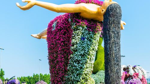 Dubai Miracle Garden tour with Transfers Day Tours