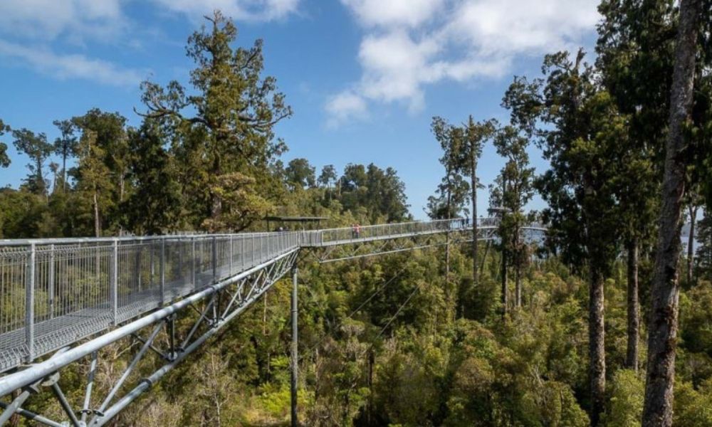 West Coast Treetop Walk in Hokitika