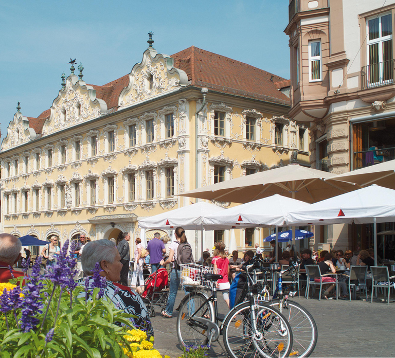 Würzburg: Guided Walking Tour