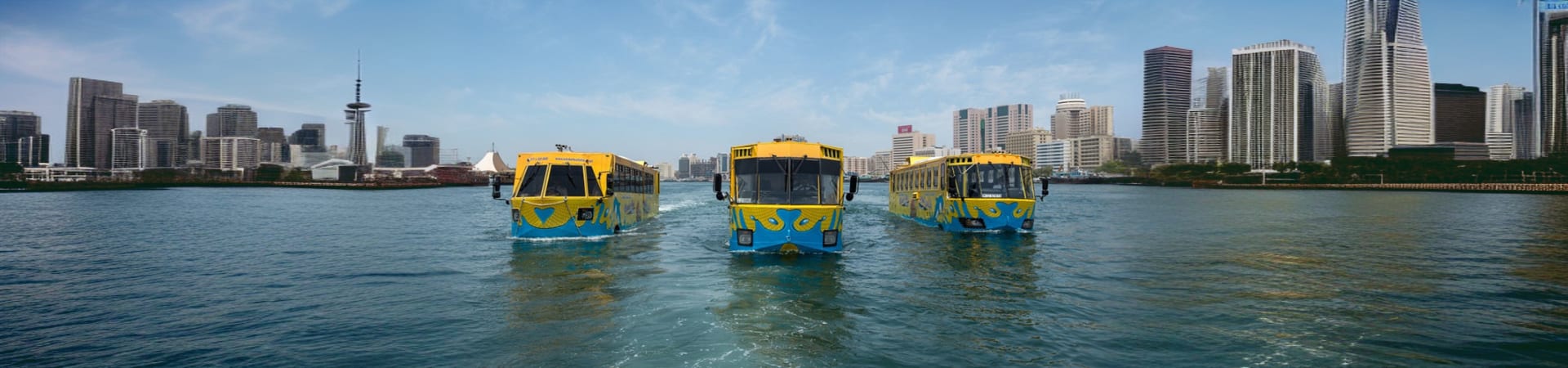 Wonder Bus Sea and Land Adventure Tours