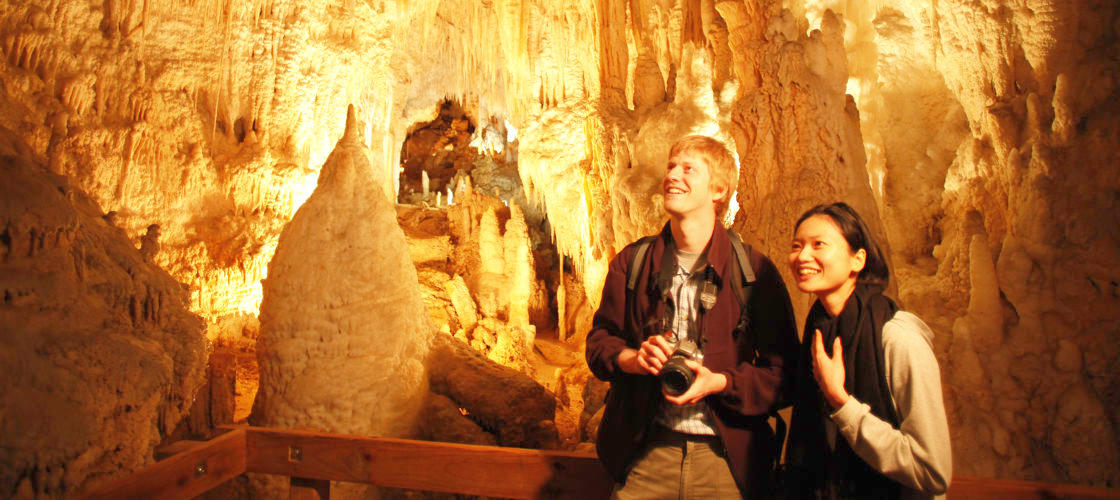 Waitomo Glowworm Caves and Aranui Cave