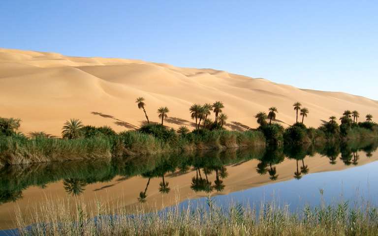 Liwa Safari