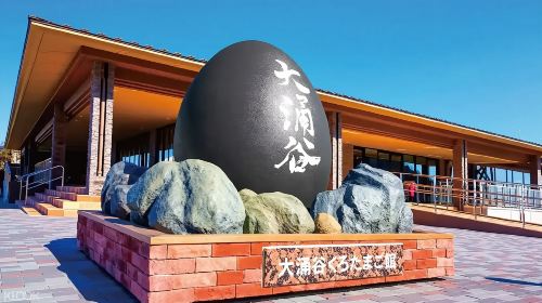 one-day tour of Owakudani, Hakone Torii, Onsen Town and Lake Ashi Pirate Ship in Hakone, Japan Day Tours