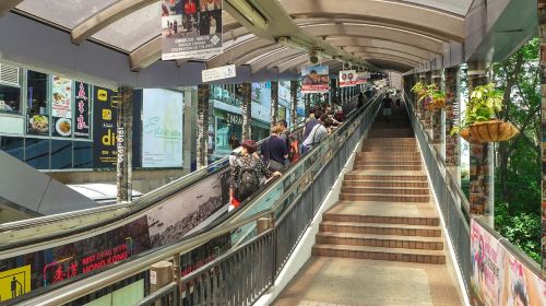 Top-Rated Hong Kong Tour: Peak Tram (priority boarding), Dim Sum & Cultural Sights (AM departure) Day Tours