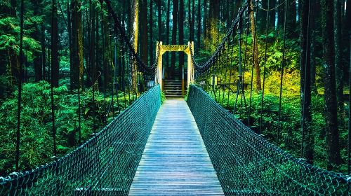 Alishan Join In Day Tour from Taichung (Incl. Park Entrance) Day Tours