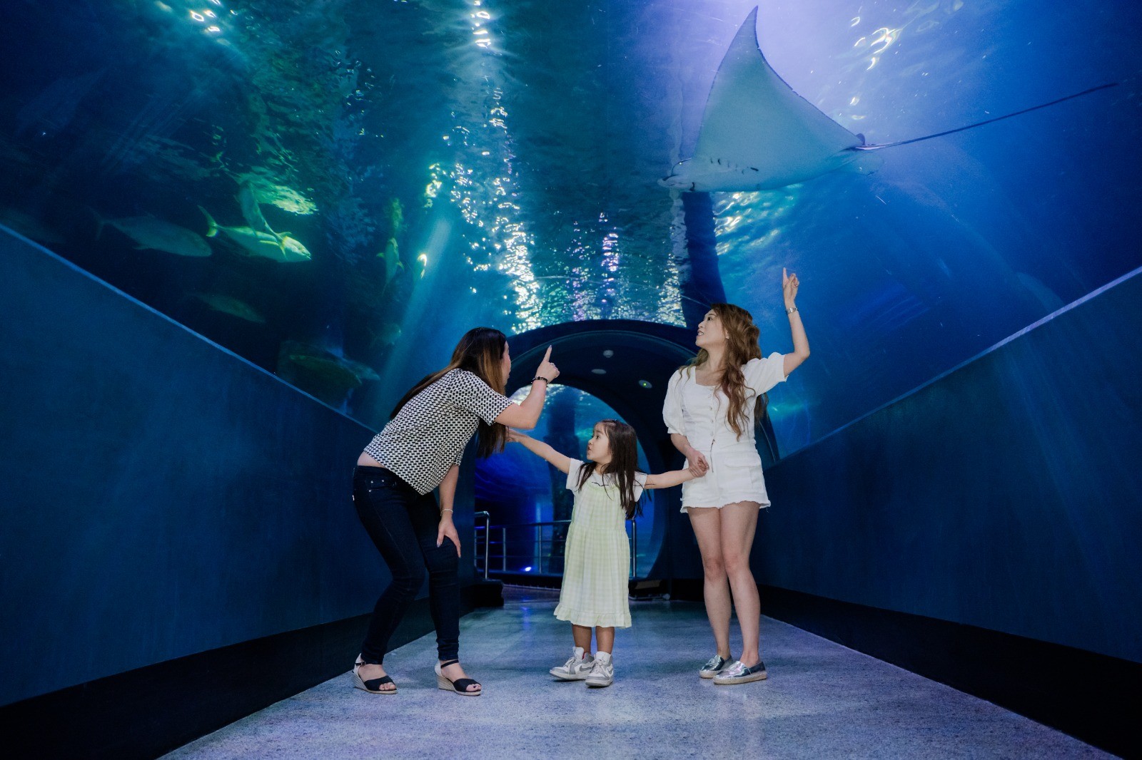 SEA LIFE Melbourne