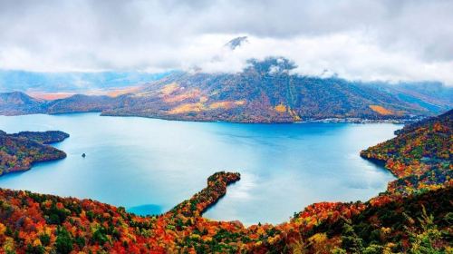 From Tokyo:Private Nikko World Heritage Site Day Tour by Car Day Tours