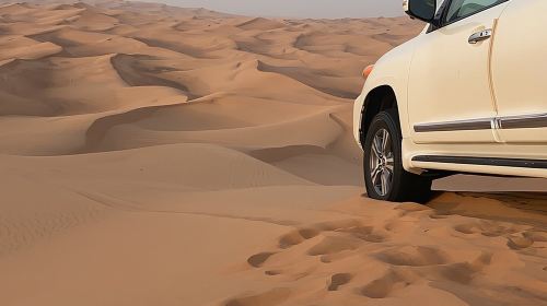 Dubai Desert Safari With camel ride , Sand boarding BBQ dinner Day Tours