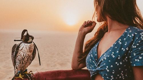 Dubai hot air balloon ride 1500m/Sunrise/Falconry/Optional Sandboarding/Flight Certificate/Refreshments Day Tours
