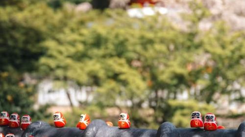 one-day tour to Gassho Village, Katsuoji Temple, Arashiyama Bamboo Forest Trail and Nonomiya Shrine in Miyama Town, Kyoto, Japan Day Tours