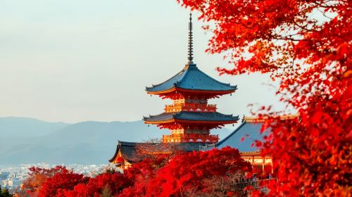 [Kyoto ancient street cultural experience 1-day tour] Kiyomizu-dera Temple + Sannenzaka & Ninenzaka + Byodo-in Temple Day Tours