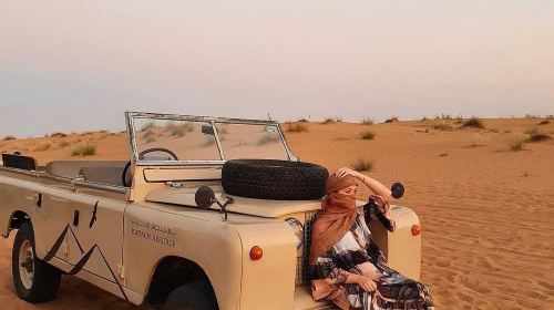 Dubai: Morning Safari Experience: Explore the Desert Reserve with a VIP Retro Land Rover Day Tours