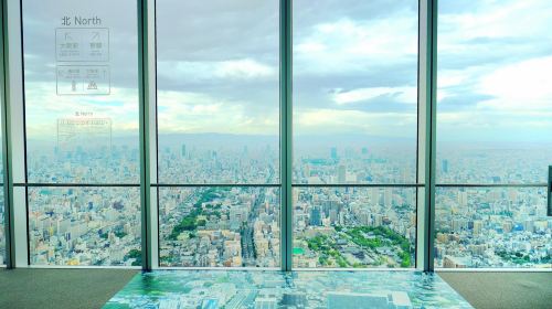 ABENO HARUKAS Art Museum