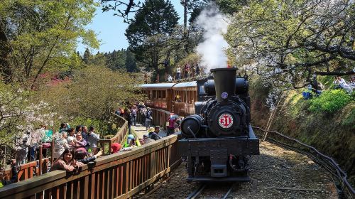 Chiayi: Alishan Day Tour (Departing from Taichung/Chiayi/Kaohsiung) Day Tours