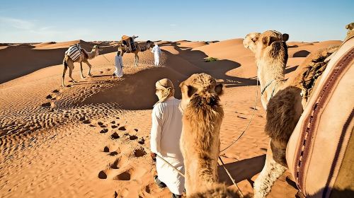 Dubai Exclusive Private Evening Desert Safari With BBQ Dinner Day Tours