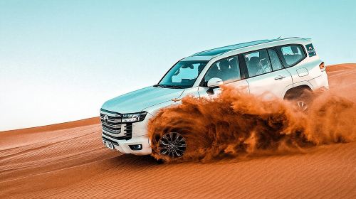 Dubai :- Premium Evening Desert Safari, BBQ & Live Shows Day Tours