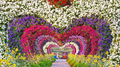 Dubai city tour & Miracle Garden tour with Transfers Day Tours